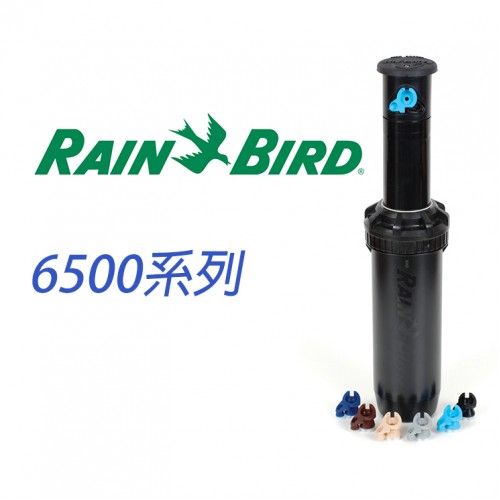 RAIN BIRD 6504 隱藏式旋轉噴頭1吋