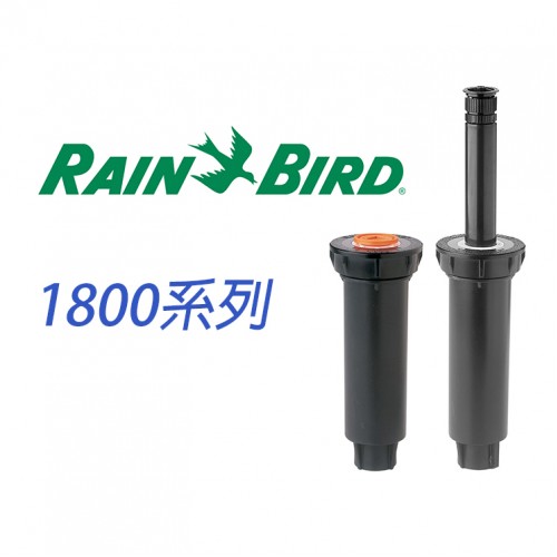 RAIN BIRD 1804 隱藏式散射噴頭1/2吋